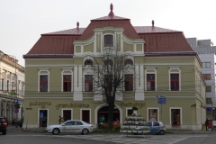 ansamblu-fatada-principala-tamplarie-lemn-satu-mare