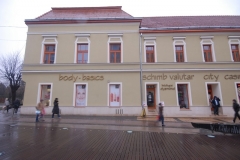 ferestre-lemn-breasla-cizmarilor-satu-mare1