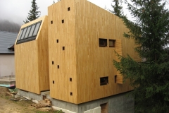 vedere-laterala-casa-lemn